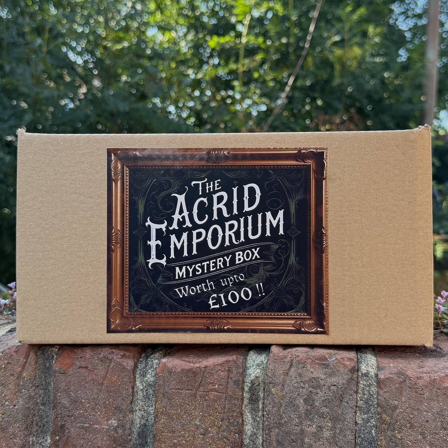 The Acrid Emporium Mystery Box- Gothic Decor Mystery Box