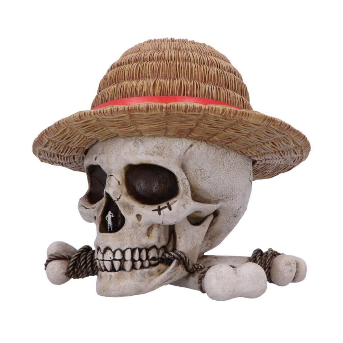 One Piece Luffy Jolly Roger Box