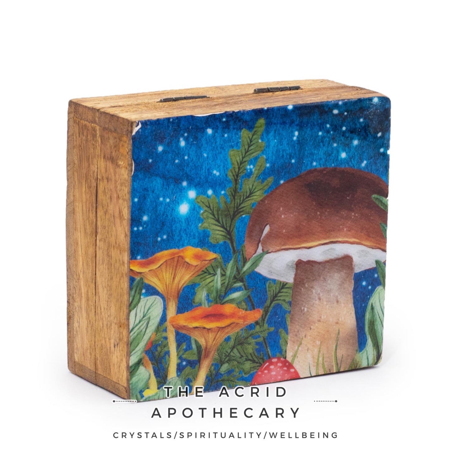 Small Enameled Mushroom Design Square Box 10x10x4.2cm -Teal