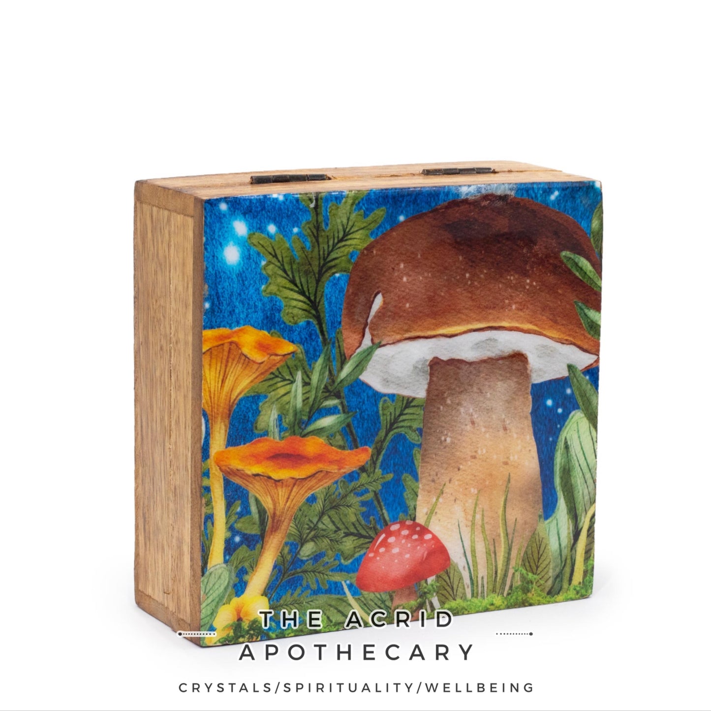 Medium Enameled Mushroom Design Square Box 13.5x13.5x6cm- Teal