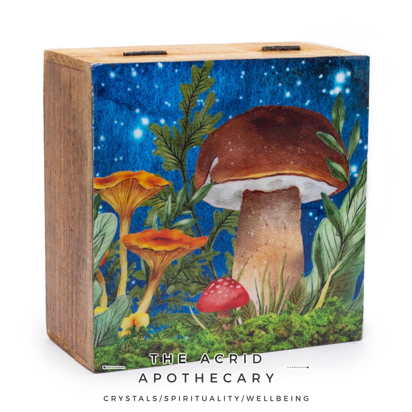 Large Enameled Mushroom Design Square Box 15x17.5x8cm -Teal